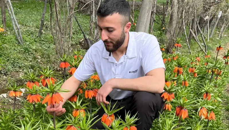 Ağlayan Gelin: 20 Günlük Düşük Ömrü ve Yüksek Cezasıyla Havalara Kaldırdı