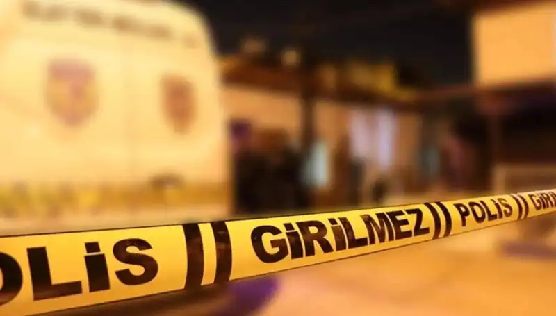 Diyarbakır'da Kayınpeder Dehşeti: Aile İlişkileri Kriz Mi Yaşıyor?