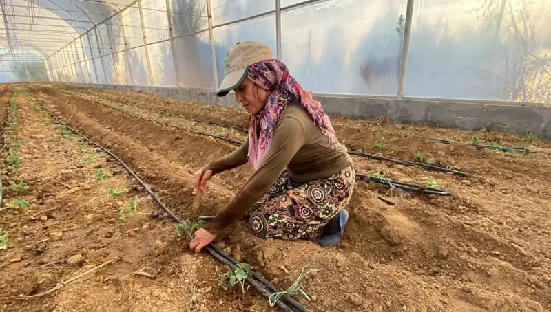 Fidanlar Toprakla Buluştu: Doğa İçin Her Gün Altı Saat Fedakarca Çalışıyorlar