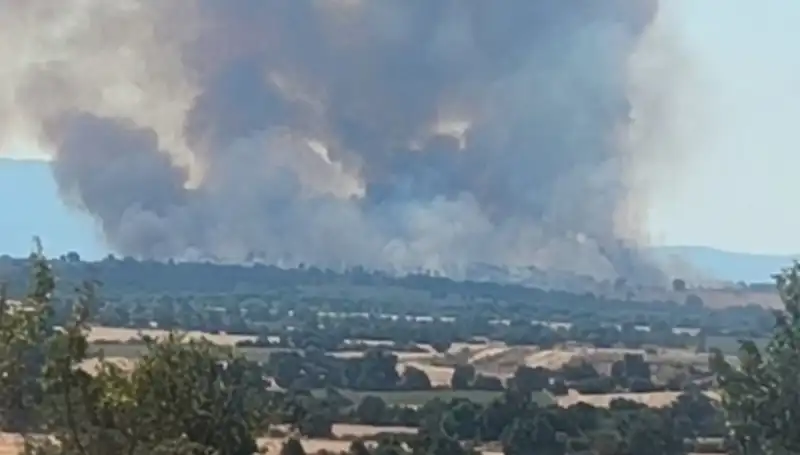 Komşudaki Orman Yangını, Edirne'yi Korkutan Dumana Boğdu!