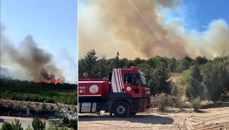 Gebze'de Alevler İçinde Kalan Ormanlar: Yangın Nedenleri ve Son Durum