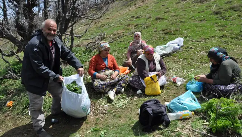Doğanın Hediye Ettiği Zenginlik: Yürüme Mesafesinde Geçim Kaynağı