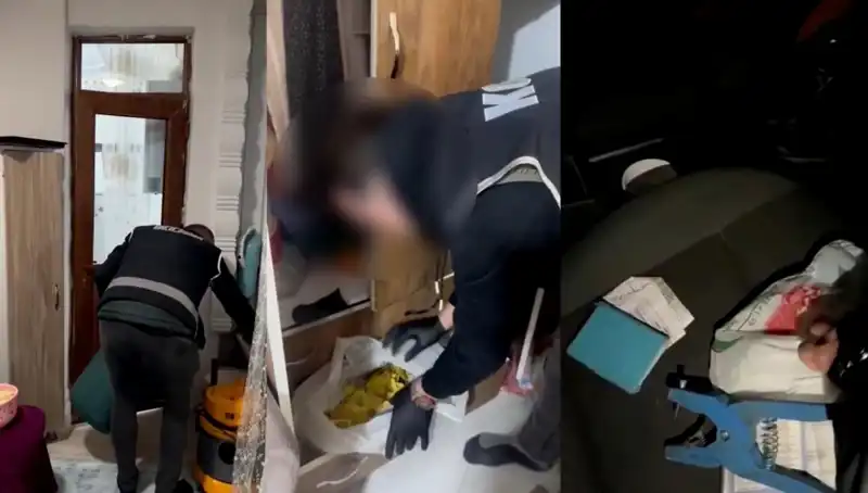 Hayvan Sevk Belgesi Usulsüzlüğünde Hayvanseverlere Şok: Dokuz Gözaltı