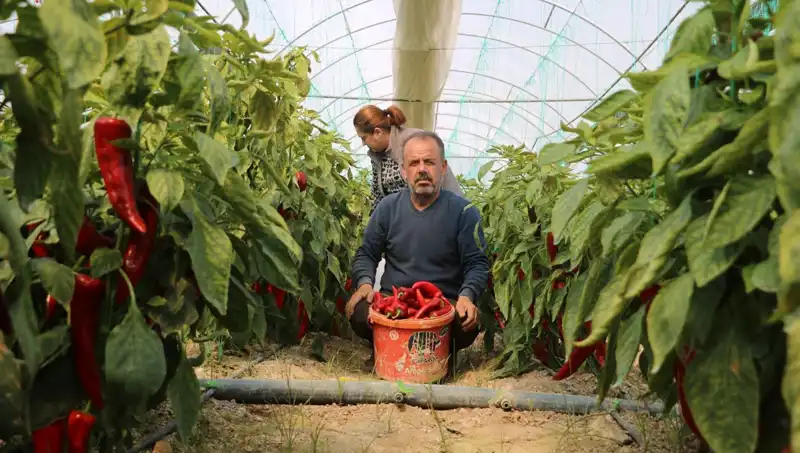 Fiyat Değişikliği ile Şaşırtan Ürünler: Ne Oluyor?