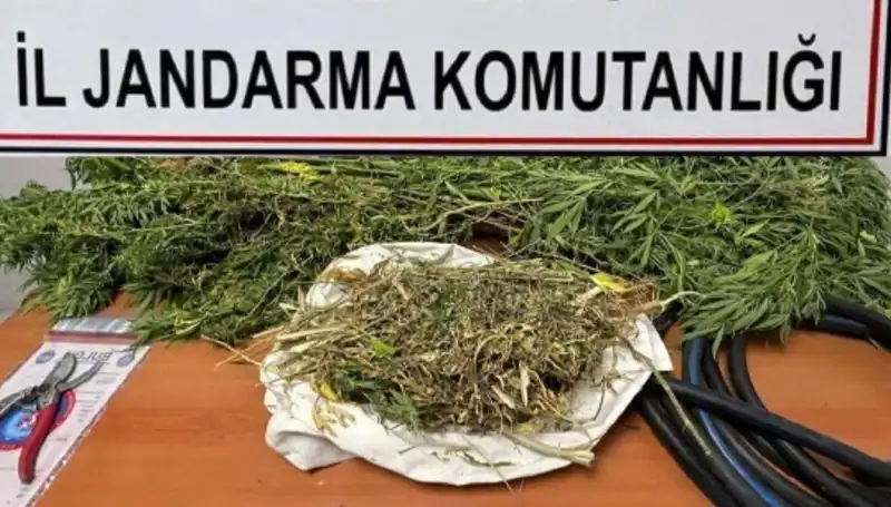 Niğde'de Düzenlenen Uyuşturucu Operasyonunda Büyük Yakalama!