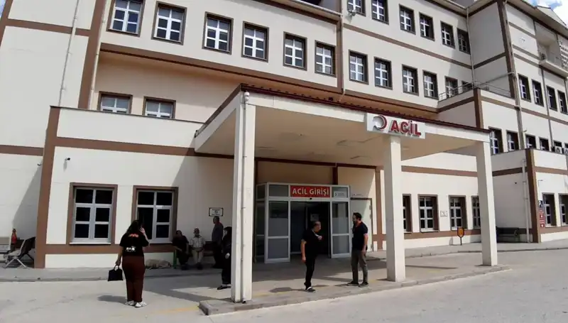Bolu'da Ayı Avı Kararı: Tüm Detaylar ve Tepkiler