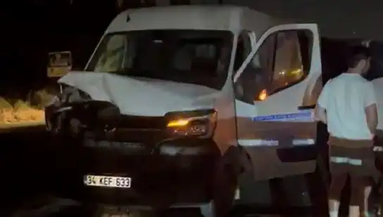 İstanbul'da Manda Kazası! Üç Yaralı Olayın Ayrıntıları
