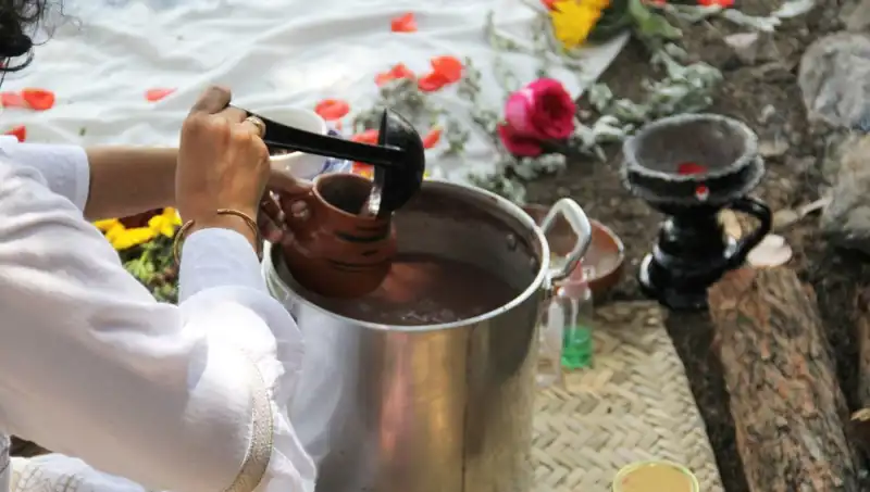 Ayahuasca Çayı: Gizemleri, Yasa Durumu ve Deneyimlerin Derinlikleri