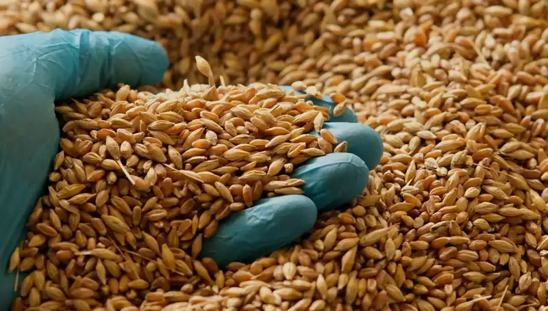 Kalp Hastalığı Riskini Azaltan Beslenme Tarzını Keşfedin