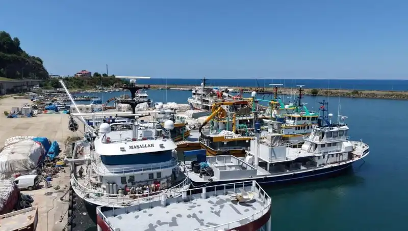 Karadeniz'de Bahar Cenneti: 1 Eylül İçin Geri Sayım Başladı!