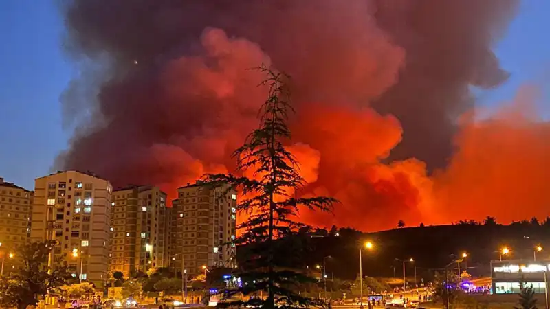 Bursa'da Sıra Dışı Yangınlar: Şehirdeki Felakette Neler Oluyor?