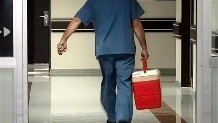 Organ Bağışında Yeni Dönem: Artık e-Devlet ve e-Nabız İle Bağış Yapabileceksiniz!