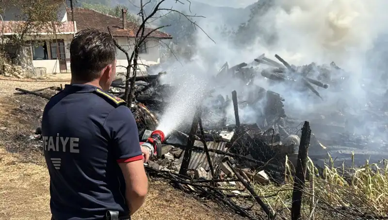 Evde Başlayan Yangın, Ormanları Tehdit Eden Korkunç Bir Facia Yarattı