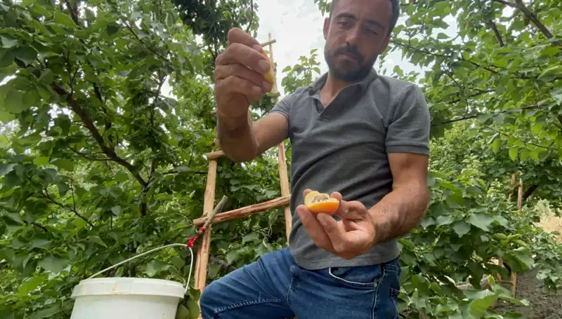 Türkiye’nin Yeni Lezzet İkonu: 50 TL ile 70 TL Arası Fiyatla Satılıyor!