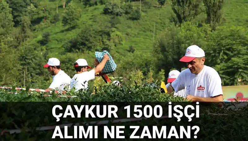 Çaykur İşçi Alımı Başvuru Tarihleri Açıklandı! Detaylar Burada