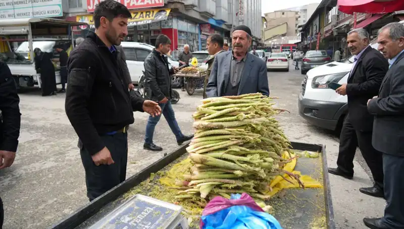 Dağlık Alanların Şeker ve Mide Hastalıklarına İyi Geldiği İddiaları