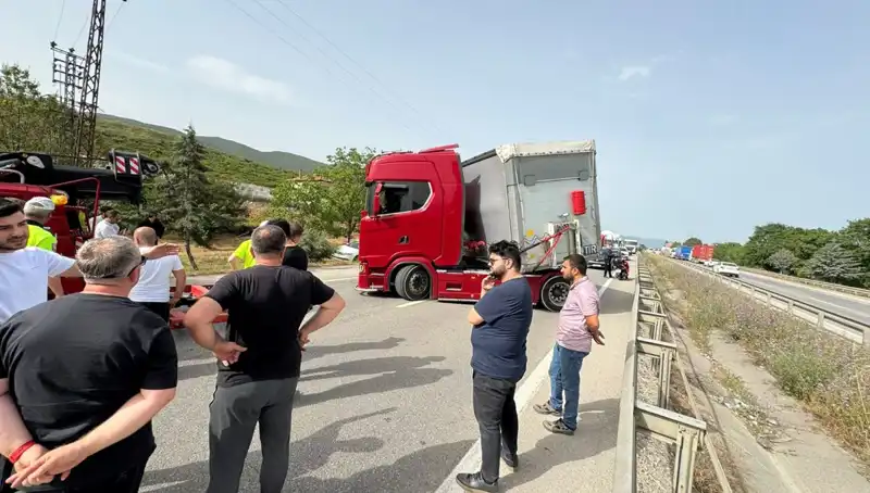 Seyir Halindeyken Arı Soktu: Trafiği Kilitleyen O Anlar