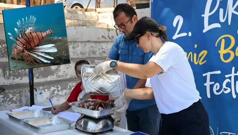Antalya'da İstilacı Aslan Balığı Avlama Yarışması: Ekosistemi Koru Mücadelesi