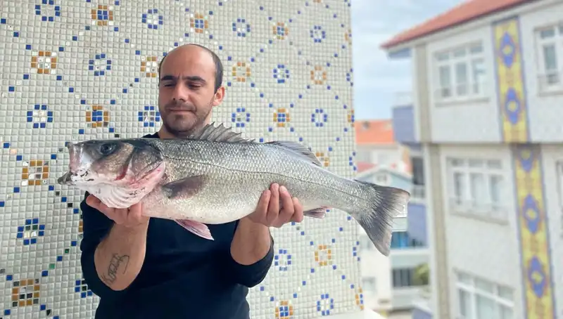7,5 Kiloluk Dev Levrek Avı: Balık Tutmanın Heyecanı
