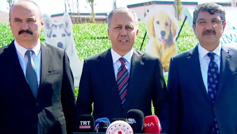 Sokak Köpekleri Tartışmasında Yeni Gelişme: 81 İle Müfettiş Gönderildi