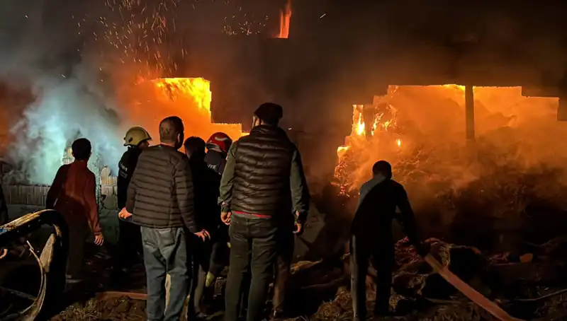 Bolu'da Korkutan Ahır Yangını: Can ve Mal Kaybı Önlenebildi