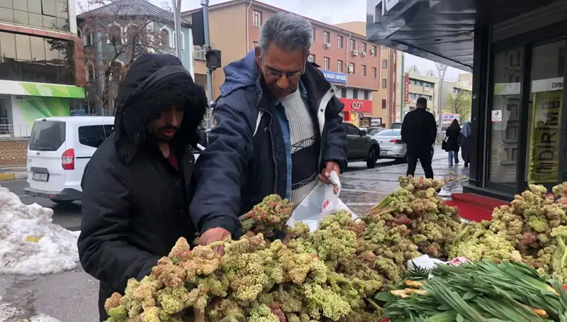 Kanserle Savaşta Yeni Bir Umut: Kendiliğinden Yetişen Mucizevi Bitki