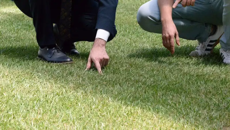 Stadyum Zemini Tartışmaları: 10 Gün İçinde Hazır Olacak