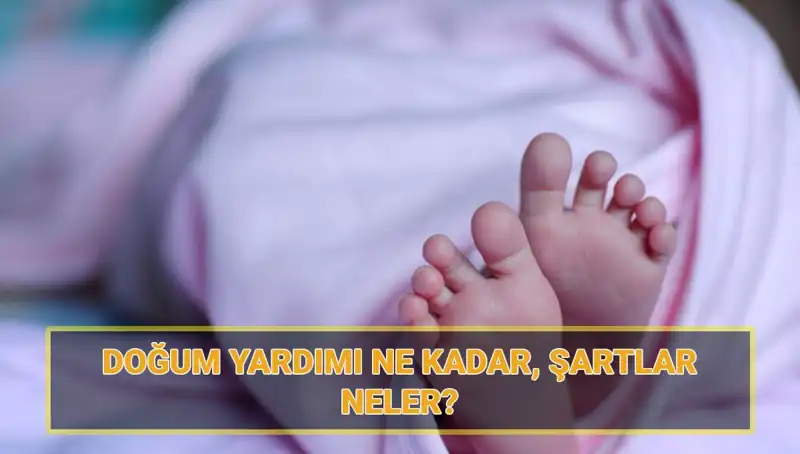 2025 Çocuk Parası İçin Başvurular Başladı: İşte Detaylar ve Şartlar!
