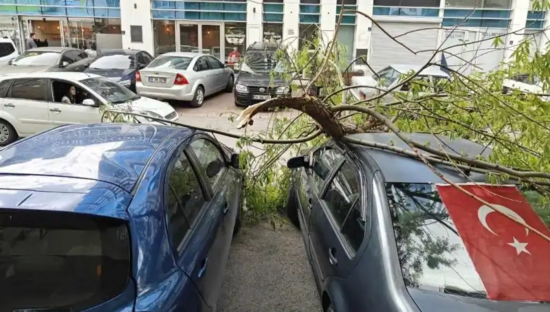 Kayseri'yi Vuran Fırtına: Ağaçlar Yıkıldı, Hayat Durdu