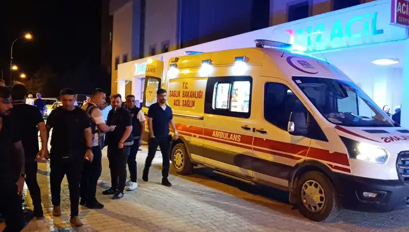 Kardeş İlişkisi Facia ile Sonlandı: Kavgayı Ayırmaya Çalışan Genç Hayatını Kaybetti