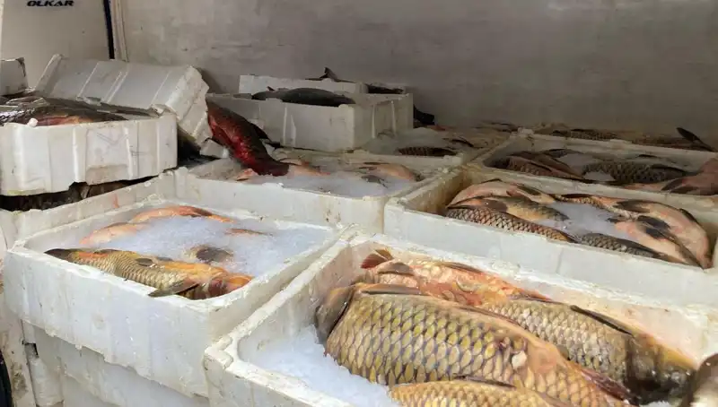 Kaçak Balık Avcılarına Dev Ceza: Binlerce Lira Miktarında Yaptırımlar