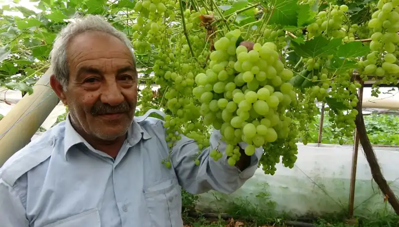 Zirai Don, Meyve Fiyatlarını Tarih Yazdıracak Şekilde Etkiledi!