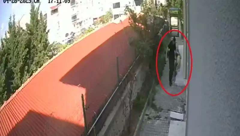 Evde Köpekleri Parçaladı: Hayvansever Doktora Şok Tutuklama