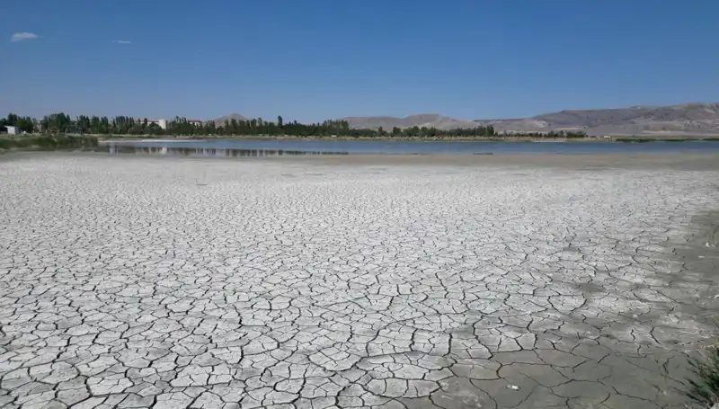 Ulaş Gölü'nde Su Seviyesi Tehlikeli Hale Geldi: Doğa Alarm Verdi