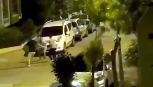 Avcılar’da 3 Kişinin Saldırdığı Vatandaşı Cesur Kalabalık Kurtardı