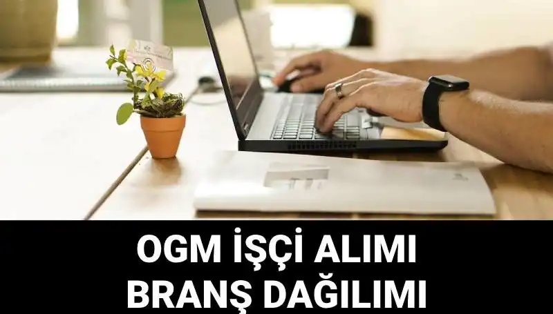Orman Genel Müdürlüğü 4500 Geçici İşçi Alımı İlanı: Şartlar ve Başvuru Süreci