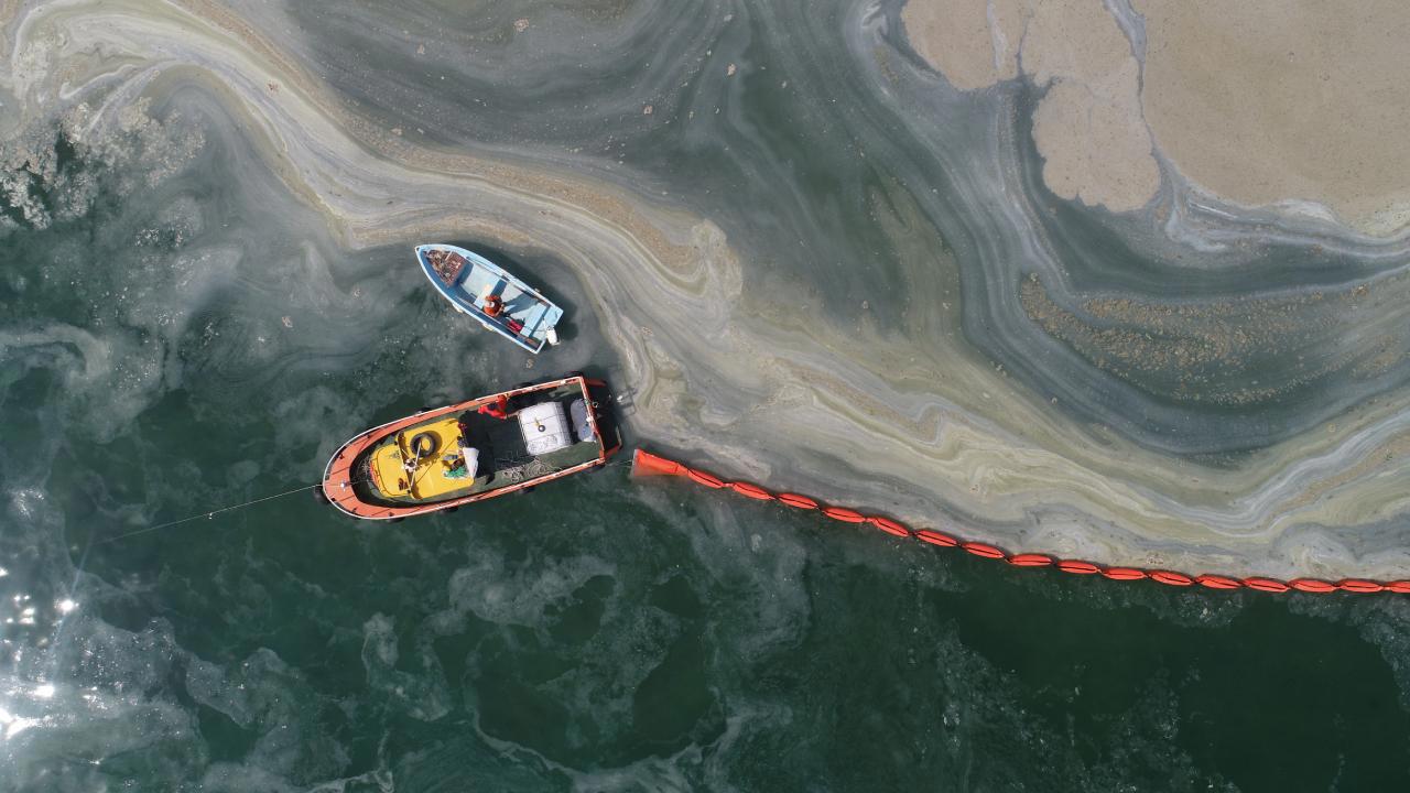 Marmara Denizindeki Müsilaj Sorunu Devam Ediyor
