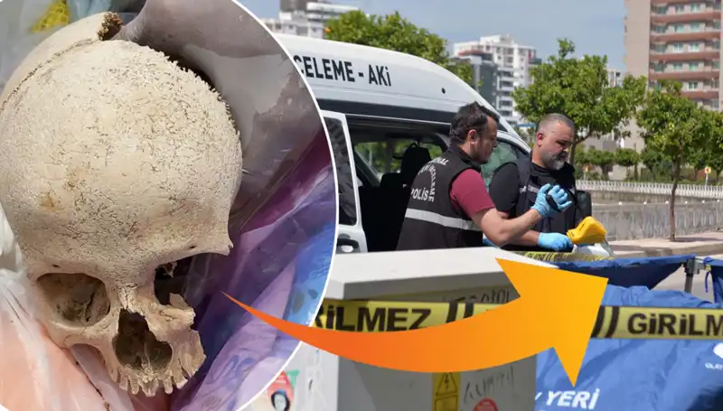 Sitenin Çöpünde Bulunan Kafatasının Şaşırtan Sırrı ve Gözaltı Gelişmesi