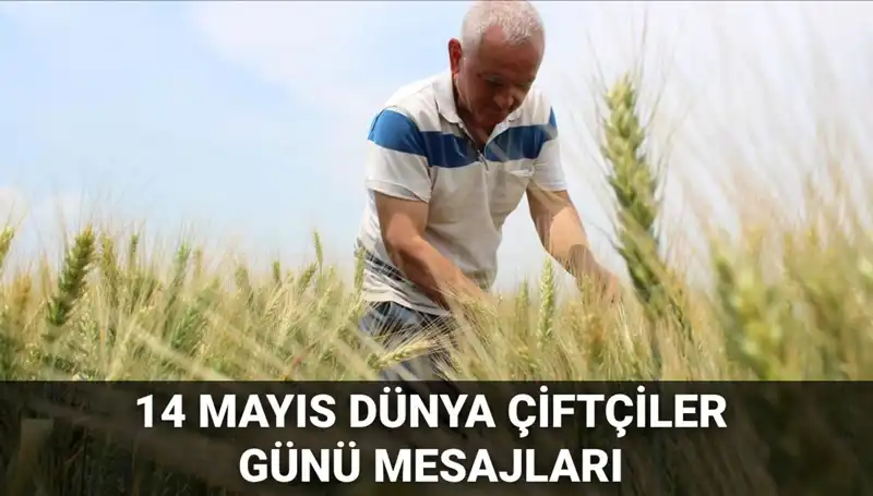 14 Mayıs Dünya Çiftçiler Günü: Tarımın Kahramanlarına Özel Mesajlar