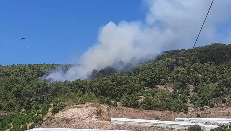 Kumluca'da Çıkan Orman Yangını: Doğayla Mücadele ve Kurtarma Çabaları