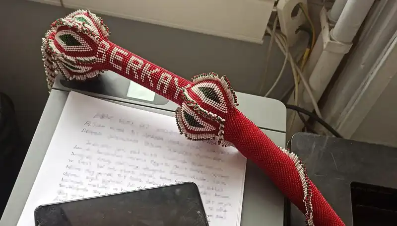 Kırbaçlı Saldırganlardan Kaçış: Hayatı Tehlikeye Atan Bir Yolculuk