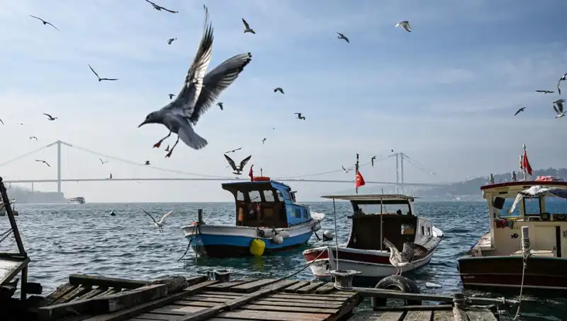 İstanbul'da Bahar Müjdesi: Hava Açılıyor, Tarih Belli!