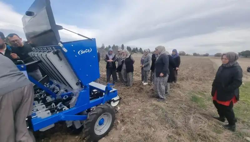 Domaniç’te Ata Tohumu Sarımsak Projesi ile Yerel Tarım Yeniden Canlanıyor