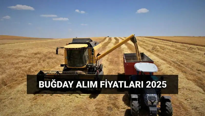 2025 Hububat Alım Ücretlerinin Yatacağı Tarih ve Fiyatlar