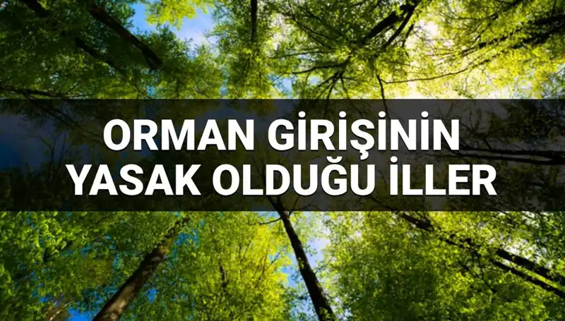 2025'te Ormana Girmek Yasak Olan İller: Hangi Bölgeler Etkilenecek?
