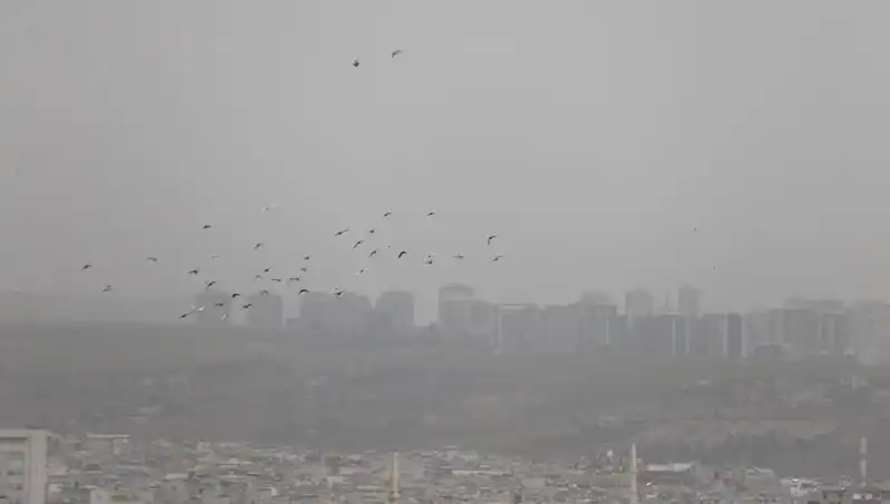 Şanlıurfa'da Toz Bulutu Alarmı: Hava Kalitesi Tehlikede!
