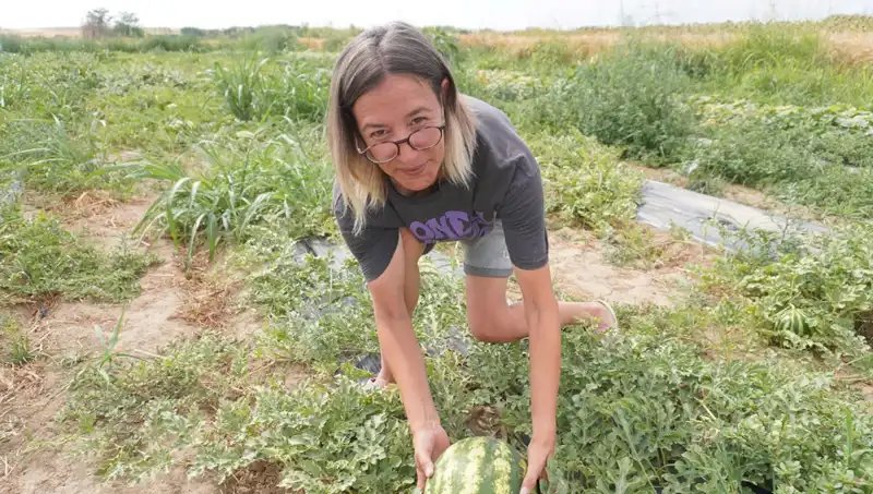 Masa Başından Tarlaya: Modern Tarım Hikayesi ile Yeniden Doğuş