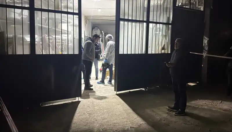 İş Yerinde Korkunç Cinayet: Çalışanlar Şokta, Soruşturma Derinleşiyor