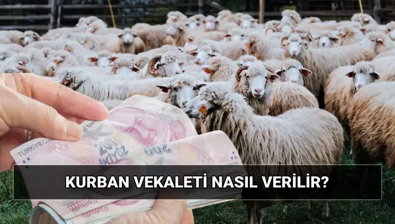 Vekaletle Kurban Kesimi: 2025'te Diyanet Tarafından Belirlenen Bedel ve Süreç Nasıl İşliyor?