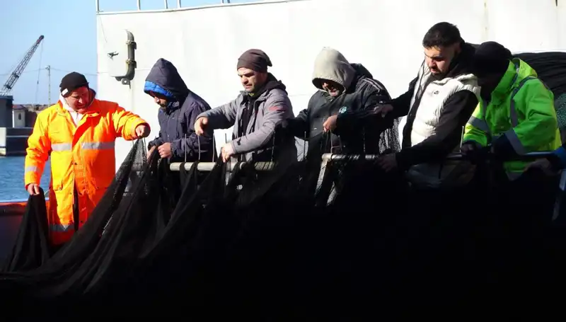 Hamsi Avında Şok Gelişme: Tekneler Erken Havaya İkna Oldu
